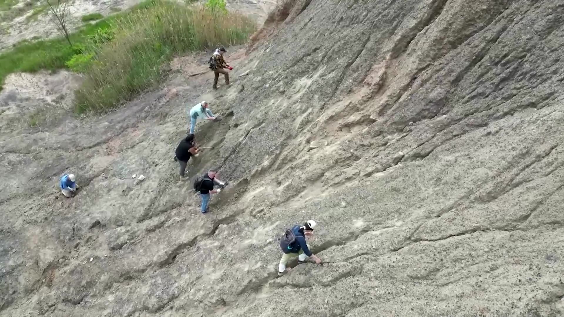 Prehistoric paradise hiding just outside Chicago