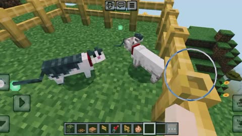 How to breed cat in Minecraft