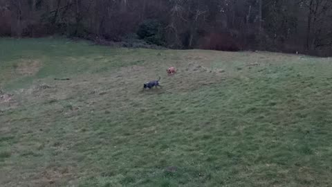 marymoor park patrol 3290823098432098