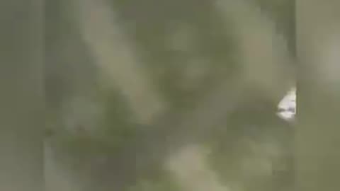 Memes 5