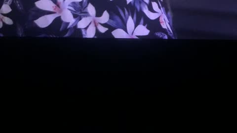 Final Destination Bloodlines Howards final Hug