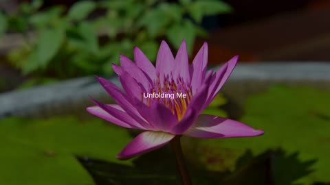 Unfolding Me Song