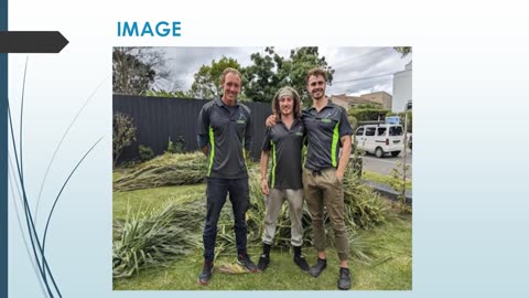 Best Tree Pruning in Deagon