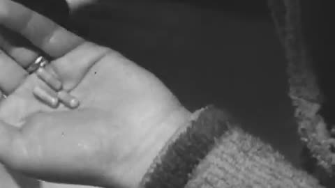 Confidential File: Barbiturates (1955)