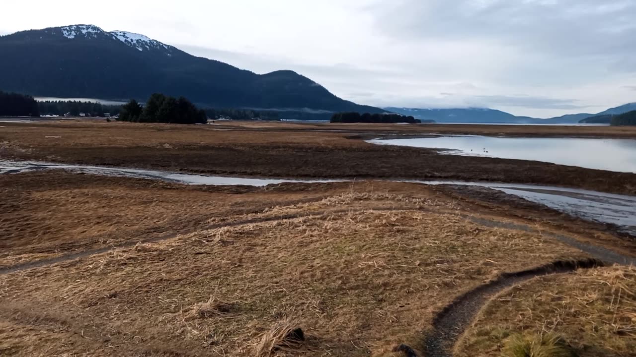 SE Alaska 9:30 am 2/5/26