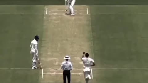 Cricket video
