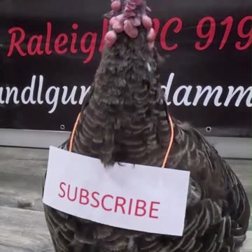 What people forget to do first