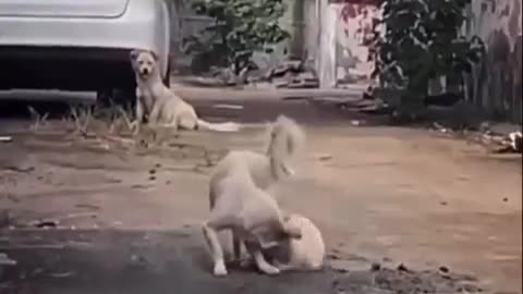 Meeting with mother