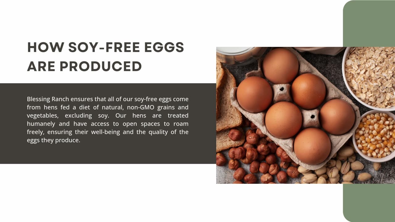 Soy Free Eggs: The Best Choice for Allergy Sufferers