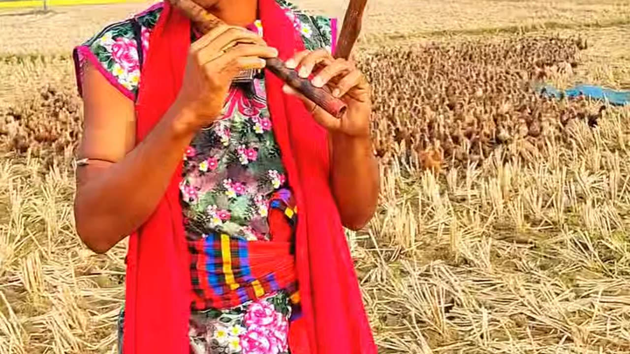 Hemiioner bashiwala 😱😱🎺🎺