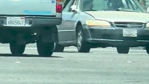 😂💥 You Won't Believe This Crazy Parking Job! | FunFM