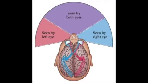 The Symbolic Species: Co-Evolution of Language and the Brain