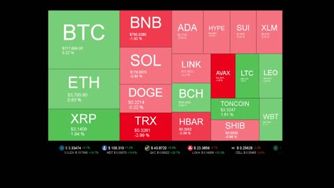 Live Coin Price Watch!