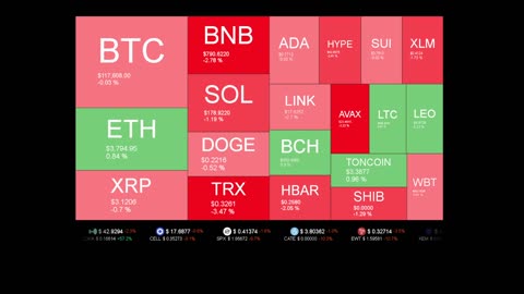 Live Coin Price Watch!