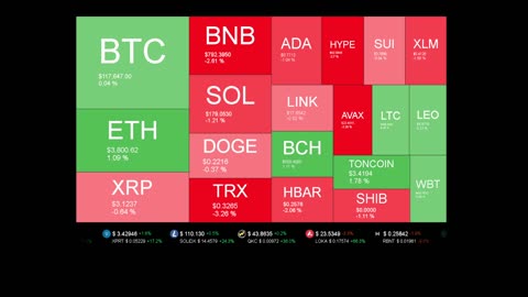 Live Coin Price Watch!