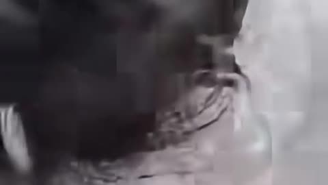 This Ancient Mamoth in Antartica is still alive and breathing on video