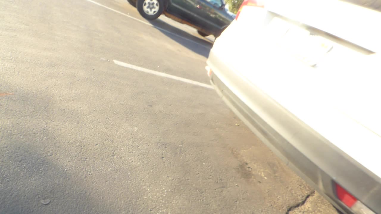 Hot ravens on top of light fixture