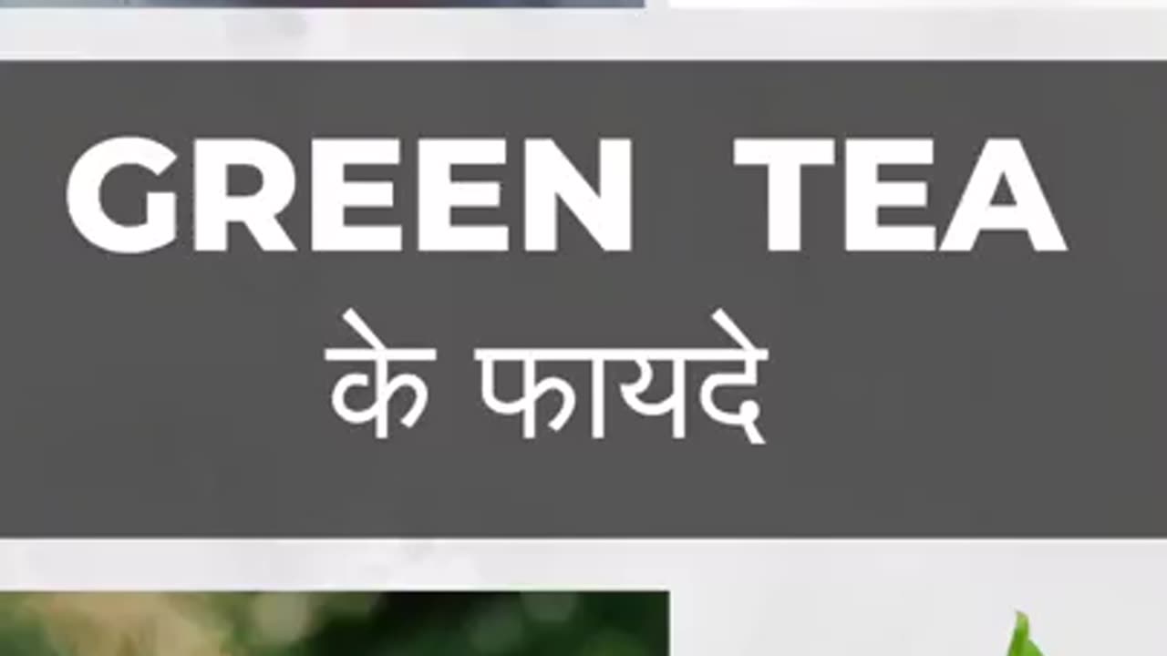 Green Tea Benefits in Hindi