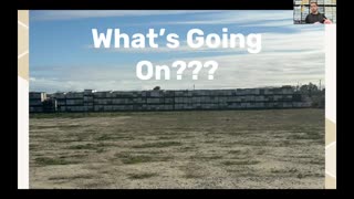 When Bees Go So Too Shall Mankind- Bees are almost extinct- Right Now!