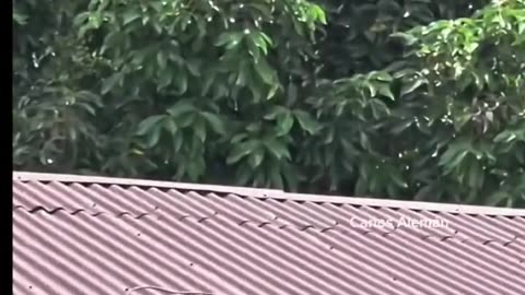 What do you think it could be?