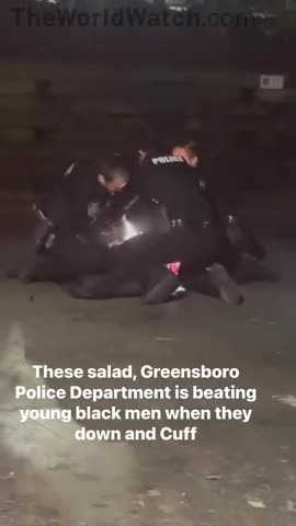 DINDU Beaten By Officers During Arrest In North Carolina