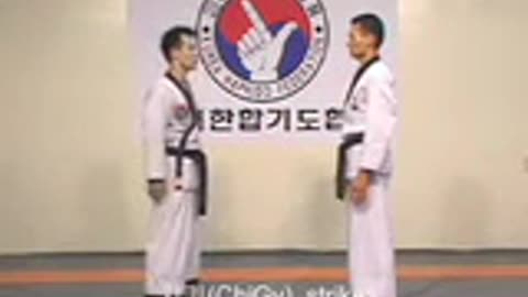 Hapkido