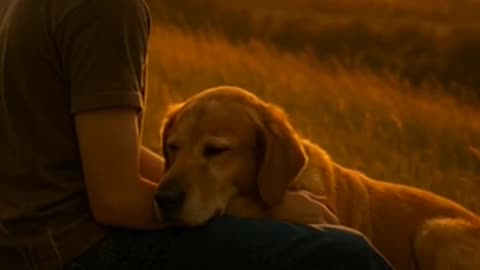 A Lifetime of Love: The Emotional Journey of a Boy and His Dog 🐾💔