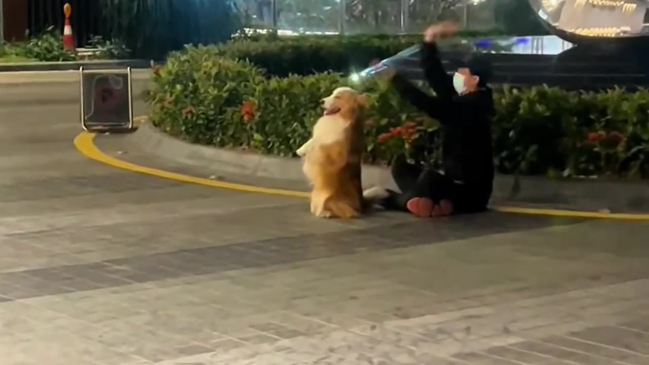 Dog Master, the Jade Girl Heart Sutra requires two people to practice together