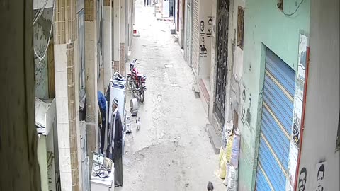 Camera1_elsayed_elsayed_20250208154021_20250208172755_5055867