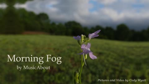 "Morning Fog" by MusicAbout - #nature #arkansas #ozarks #music #country #drone