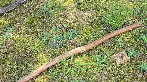 ENERGY DIRECTION Tools: Wands, Staves and Short Staves