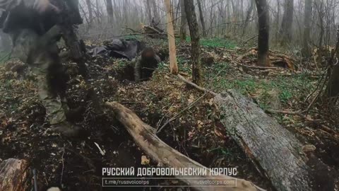 🇷🇺🤝🇺🇦 Ukraine Russia War | Russian Volunteer Corps Storms Kupyansk Position | RCF