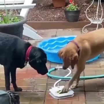 Never ending story.. 😂