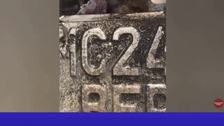 Protest Explosion in Tanzania | LIVE Coverage of Election Crisis & Internet Blackout | #News