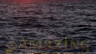 The Titanic Had a Near-Identical Twin That Also Sank? #titanic #history