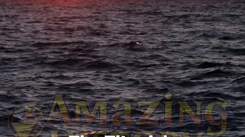 The Titanic Had a Near-Identical Twin That Also Sank? #titanic #history