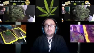 Grow 420 Today