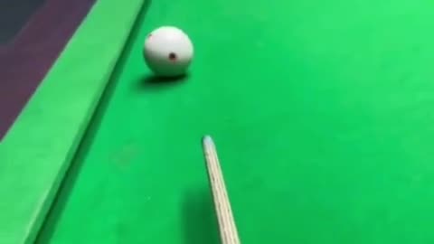 🐱🎱 These Cats' Billiard Skills are Im-PAWS-ible! | FunFM