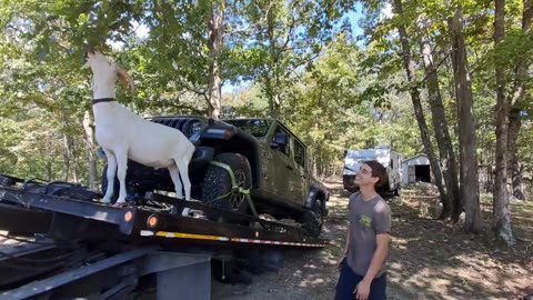 2025 Jeep Gladiator won't start and impossible to jump start