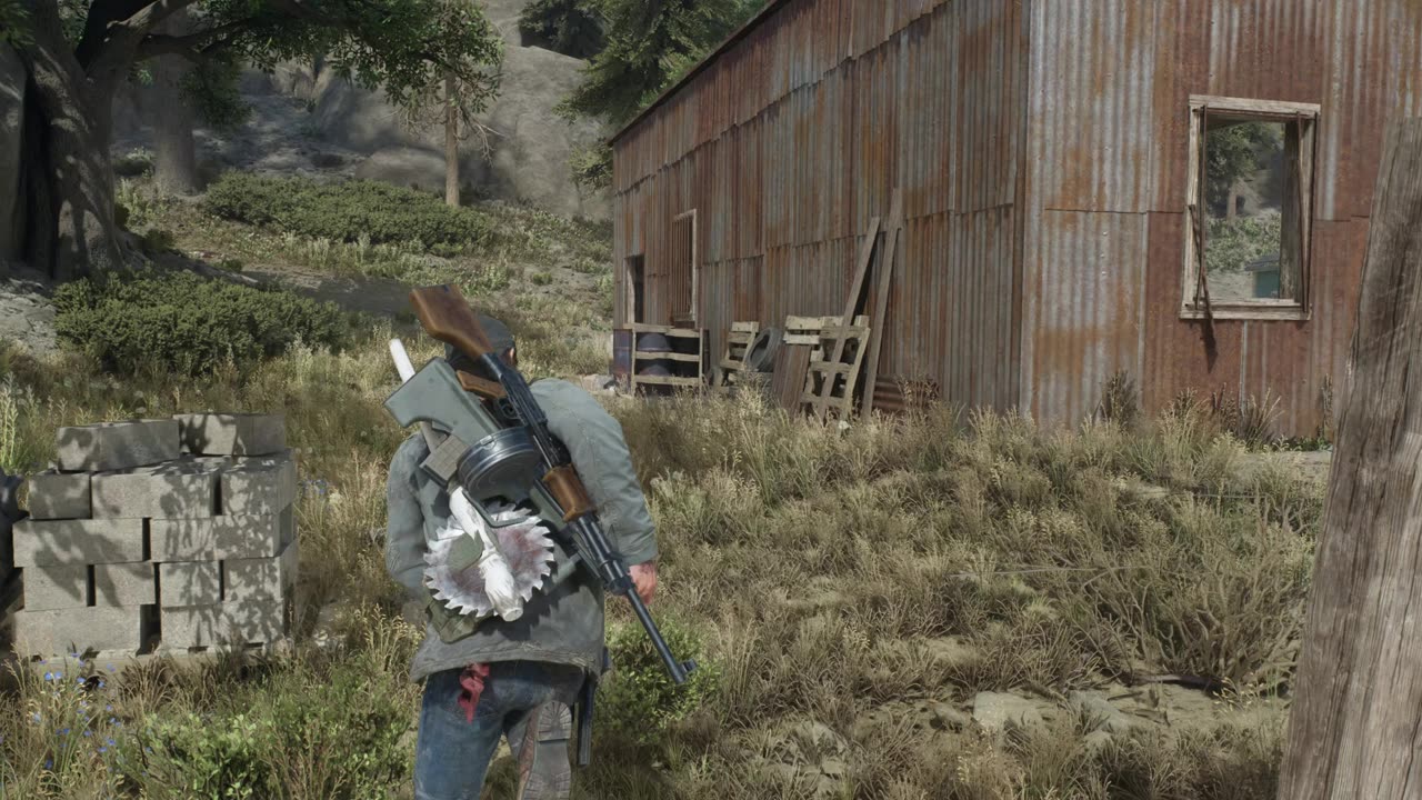 Days Gone - 65