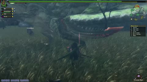 Camino a rango 2, Monster hunter frontier