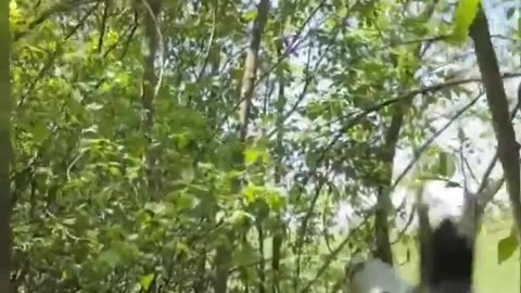 🎯🛡️ Ukraine War | Peaky Blinders UAV Unit Down Russian Fiber Optic Drone | RCF