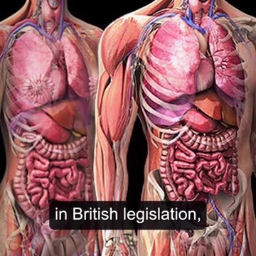 (UK) Solo las Mujeres biológicas son Mujeres