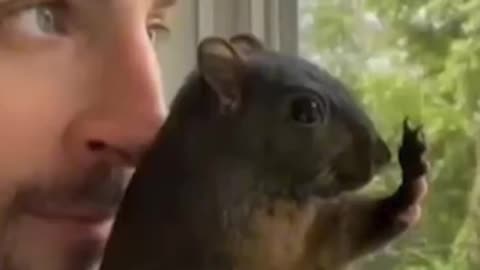 Peanut the squirrel - Any New updates? - RIP Peanut & Fred