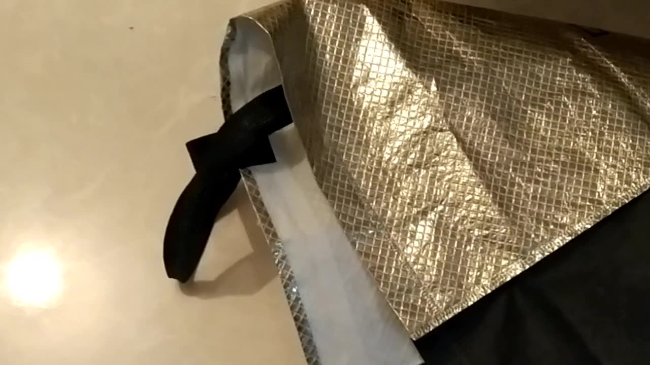 Cat hiding