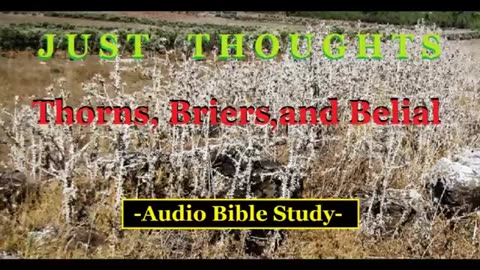 Just Thoughts - Thorns Briers and Belial (2015) Retro