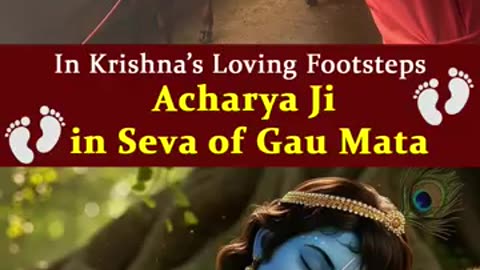 Krishna Love in Action: Gau Seva| krishnaastami Devfoundation