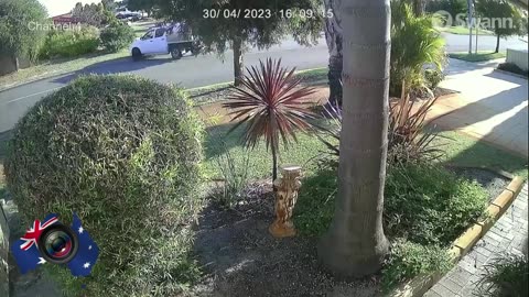Aussiecams - Outta control ute crashes into tree in this Beechboro street WA