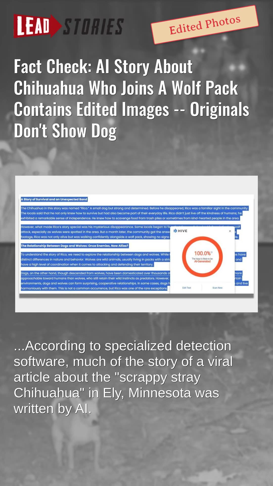 Fact Check: AI Story About Chihuahua Who Joins A Wolf Pack Contains Edited Images