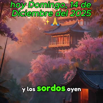 🙏✨¡Evangelio de hoy Domingo, 14 de Diciembre del 2025✨🙏
